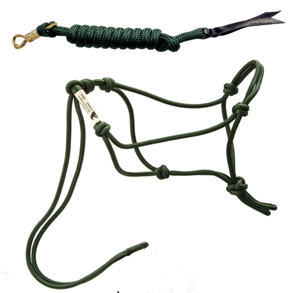 miniature donkey halter