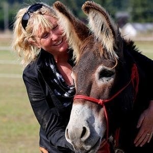 Standard donkey halter