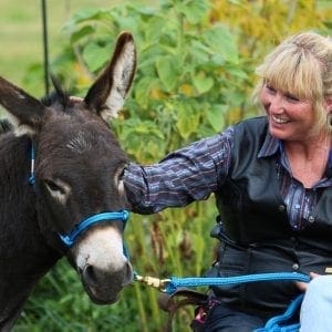 donkey 101 training